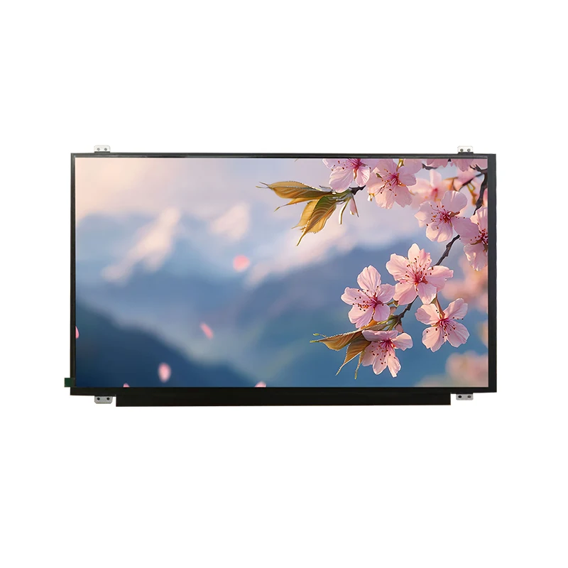 15.6 'HD IPT MODT TOFT MODCE ຫນ້າຈໍ LCD TFT LCD LCD LCD LCD WIDULE.