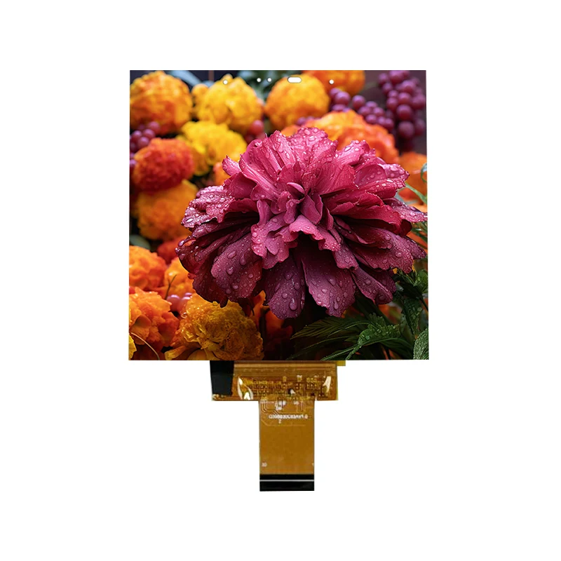 3.95 ນິ້ວຕ່ໍາທີ່ມີລາຄາຕໍ່າສຸດ 500 Nit IPS MODION MOCK 3.95 ນິ້ວຕ່ໍາທີ່ມີລາຄາຕໍ່າສຸດ 500 Nit IPS MODION MOCK