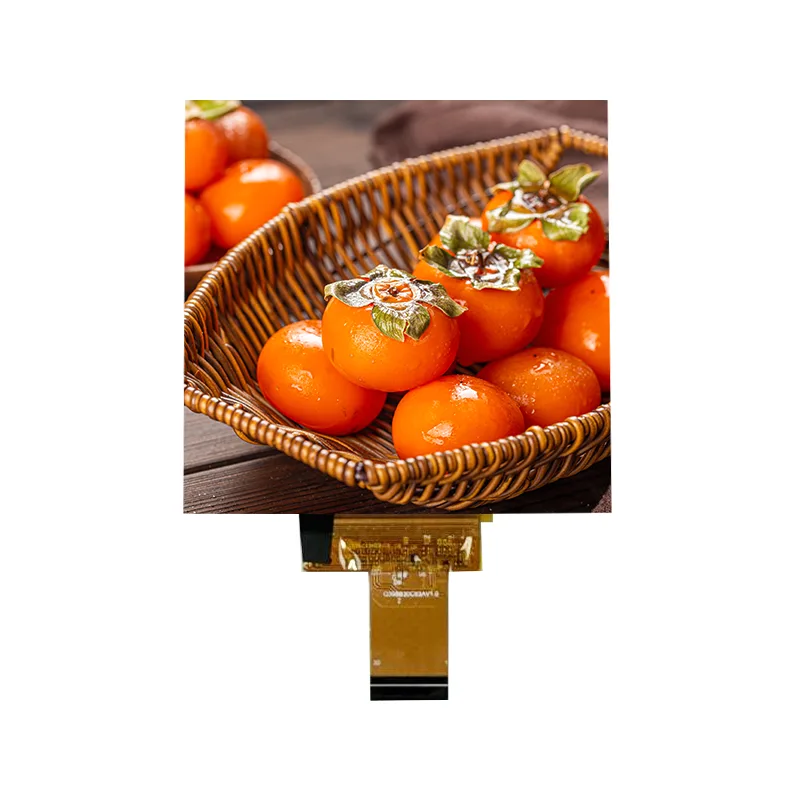 3.95 ນິ້ວ RGB480X480 Anti-glare IPS ໂມດູນຫນ້າຈໍສໍາຜັດໃນເຊນ 3.95 ນິ້ວ RGB480X480 Anti-glare IPS ໂມດູນຫນ້າຈໍສໍາຜັດໃນເຊນ