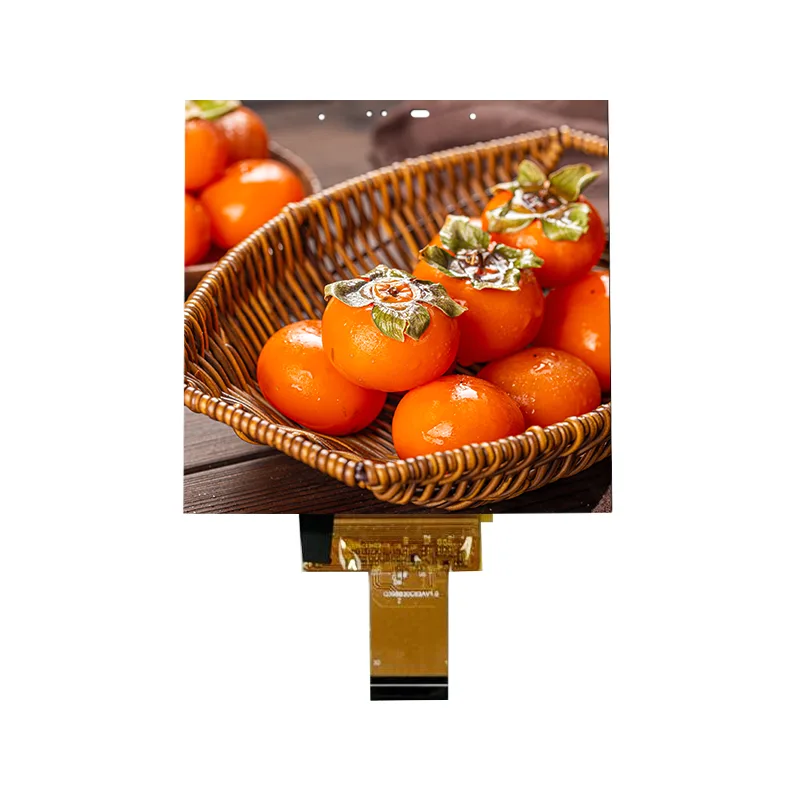 ຂະຫນາດຂະຫນາດນ້ອຍຂະຫນາດ 3.95 ນິ້ວໃນລະດັບຫນ້າຈໍສໍາພັດໃນຫ້ອງ Cell ສໍາລັບເຮືອນສະຫຼາດ