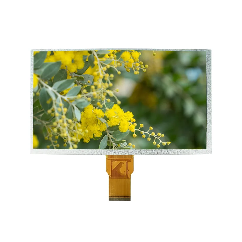 9.0 ນິ້ວ IPS Med LCD Module LCD ແບບທໍາມະດາ 9.0 ນິ້ວ IPS Med LCD Module LCD ແບບທໍາມະດາ